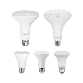 Reflector Lamps