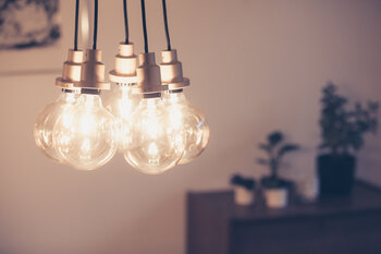 Vintage Edition 1906