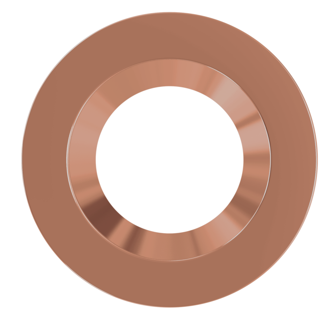 RT TRIM RING 10IN DKBZ