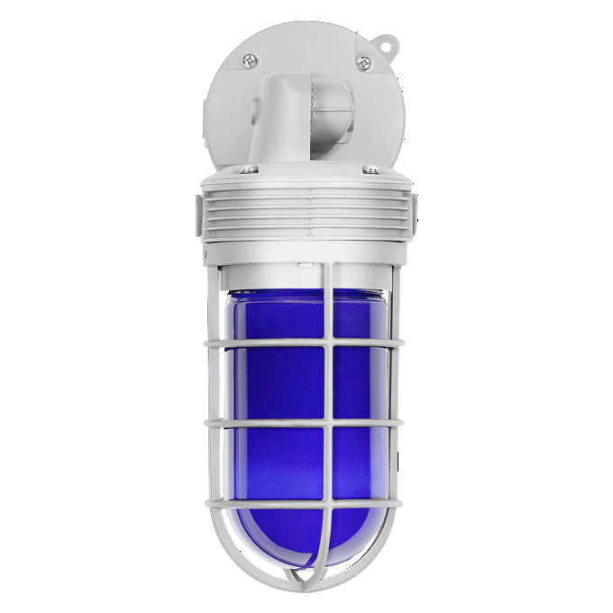 JELLY JAR LENS BLUE 