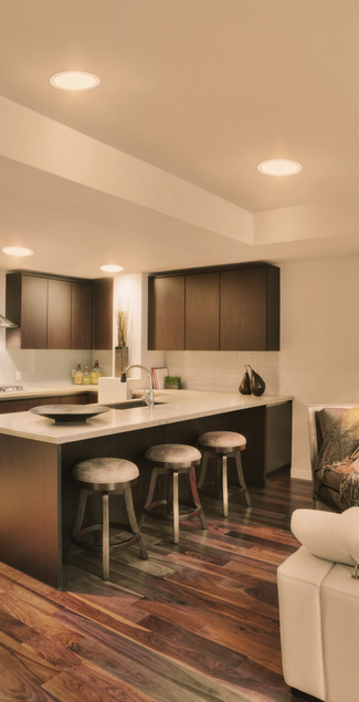 SMART INDOOR WIFI HCL DOWNLIGHT SLIM 225MM TW 2200K